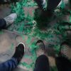 DSC05908.JPG