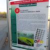 DSCF6164.JPG