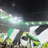 DSCF9106.JPG