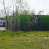 DSCF5337.JPG