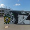 DSCF8357.JPG