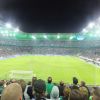 DSCF8658.JPG