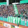 DSCF7574.JPG