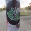 DSCF5141.JPG