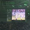 DSCF8448.JPG