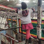 VfB Stuttgart - BORUSSIA 5.3.2022